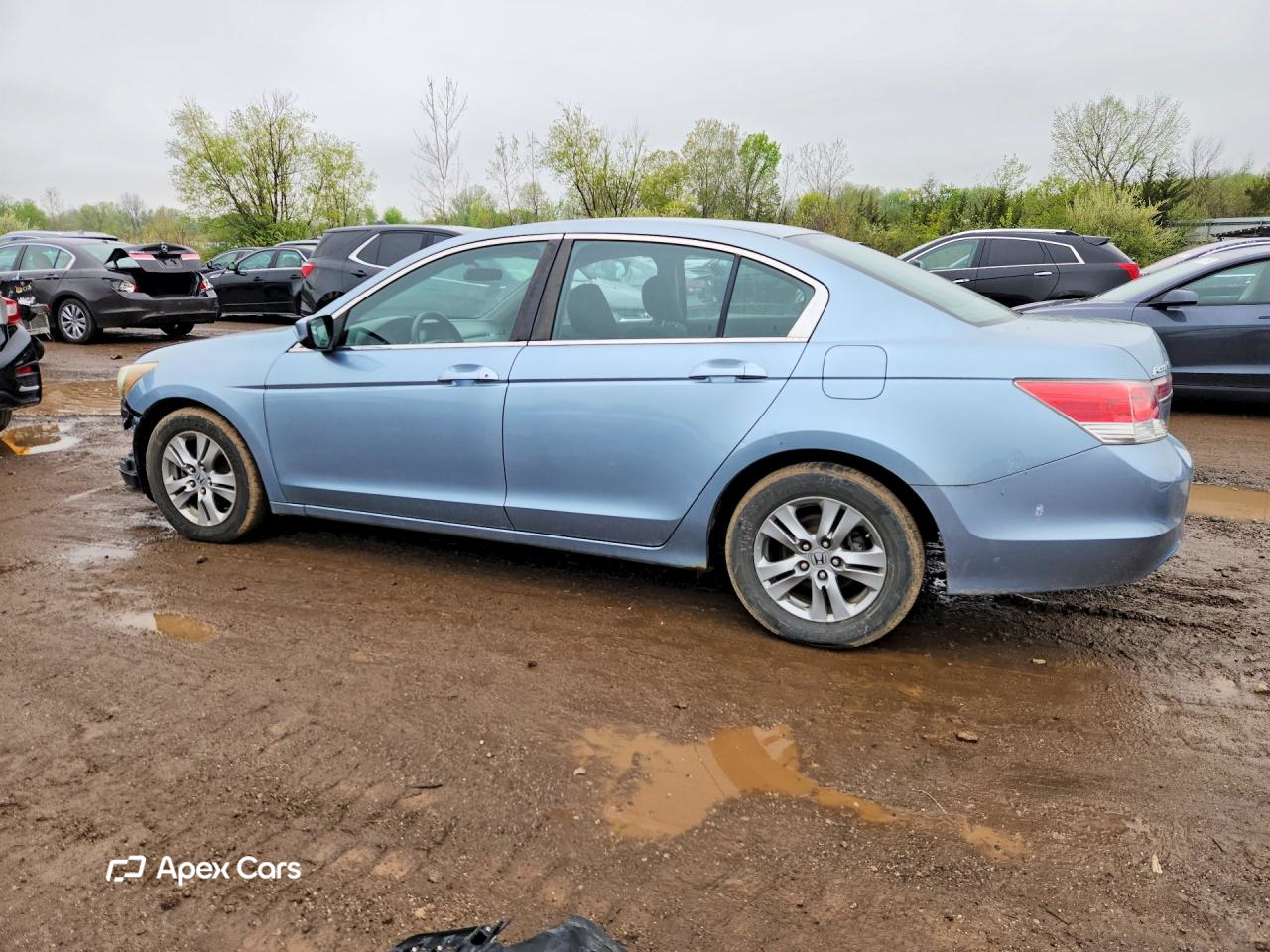 Honda Accord 2011