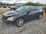 Nissan Maxima 2010