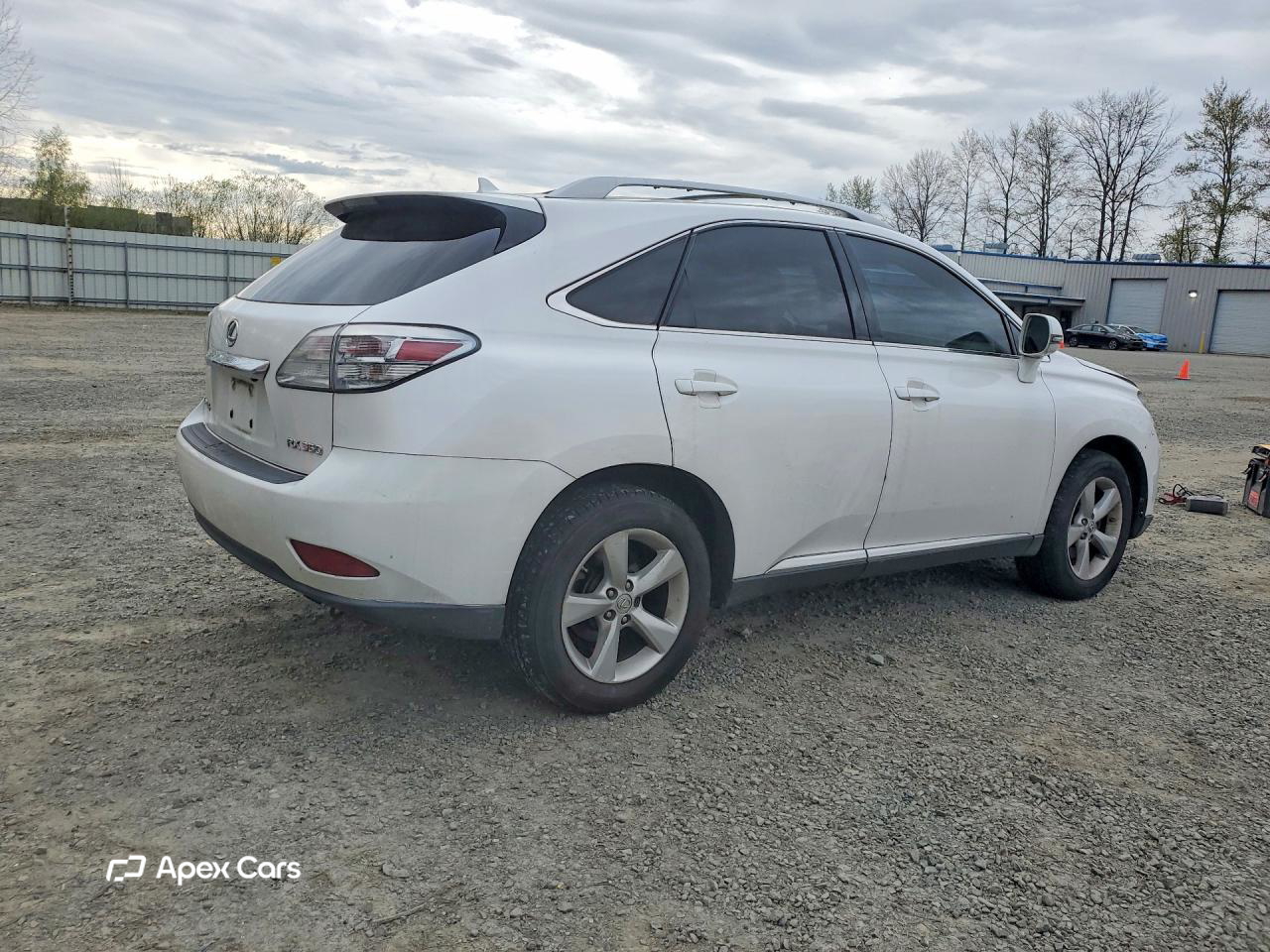 Lexus RX 2010