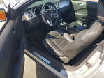 Ford Mustang 2005