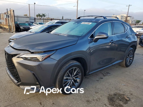 Lexus NX 2025 - Image 1 of 13