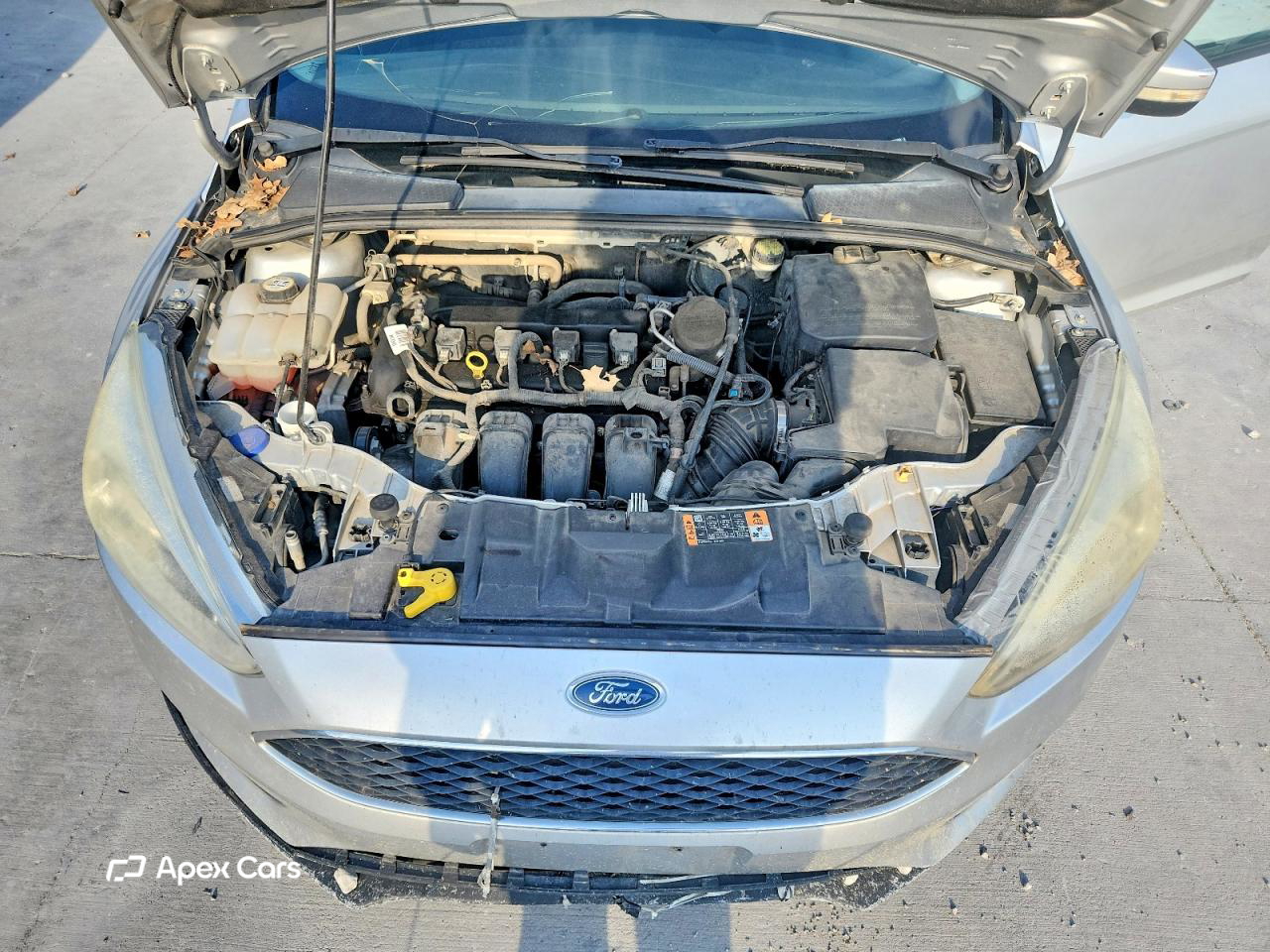 Ford Focus 2016