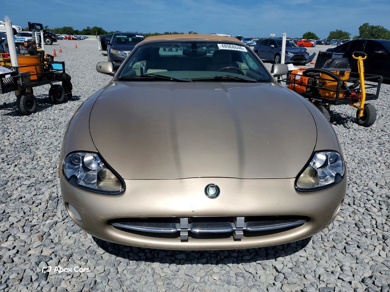 Jaguar XK 2001