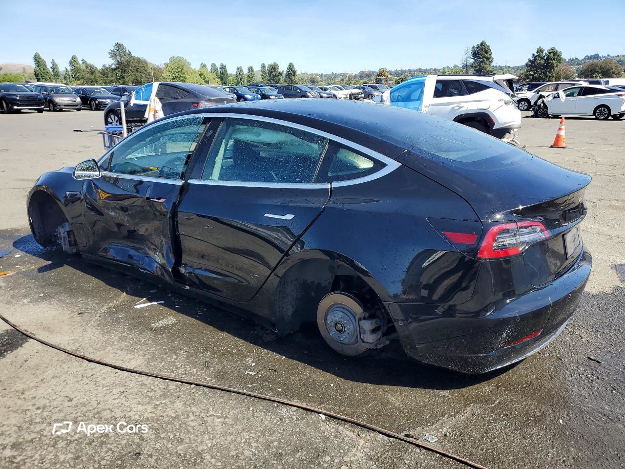 Tesla Model 3 2019