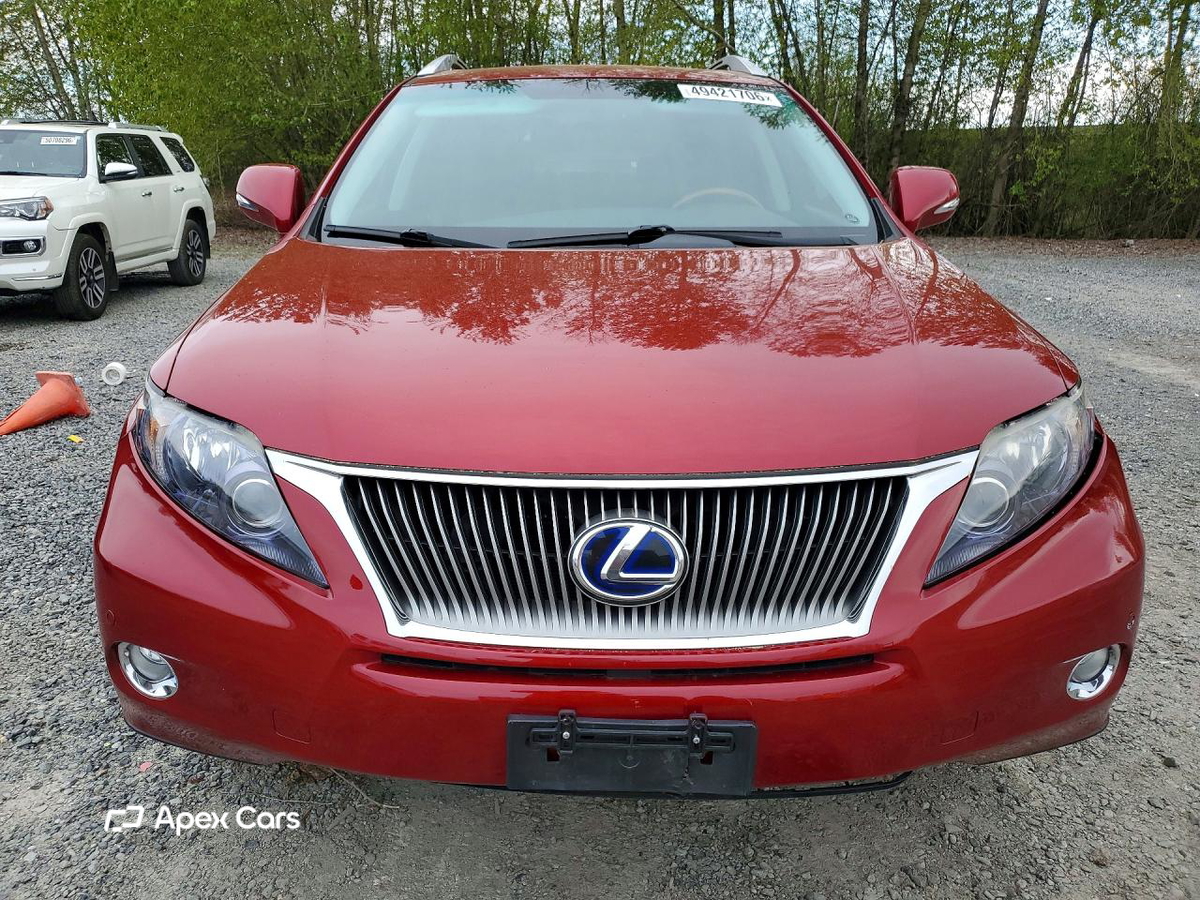 Lexus RX 2010
