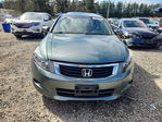 Honda Accord 2008