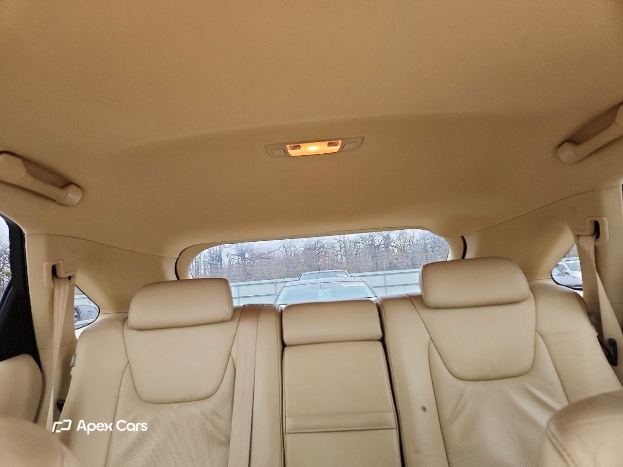 Lexus RX 2010