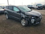 Ford Escape 2016