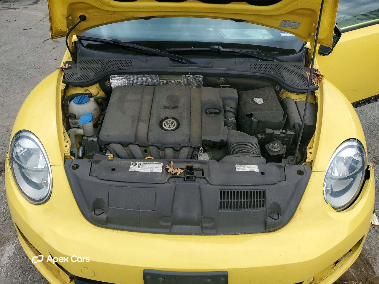 Volkswagen Beetle 2014