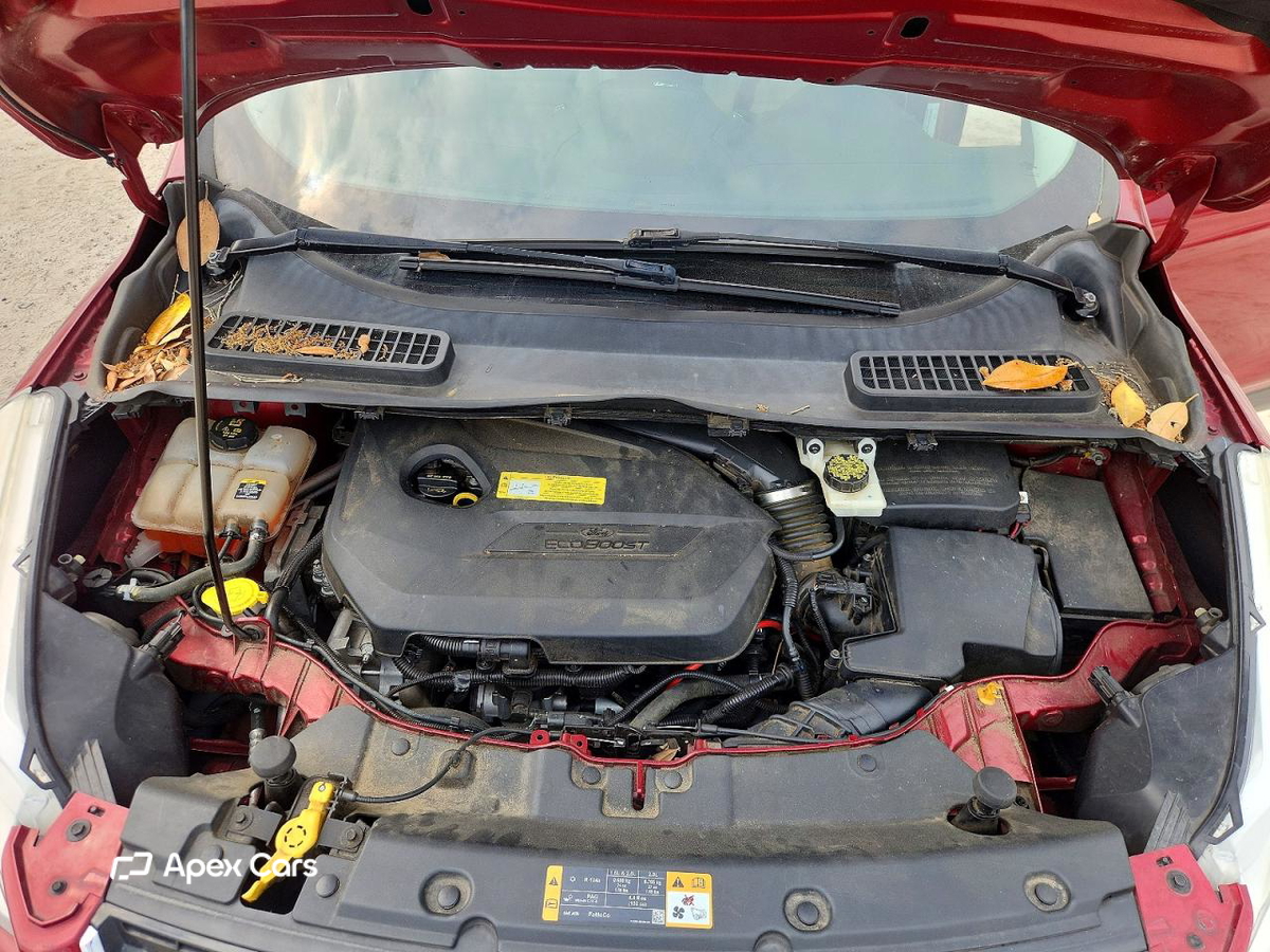 Ford Escape 2013