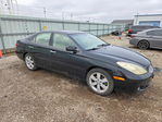Lexus ES 2005