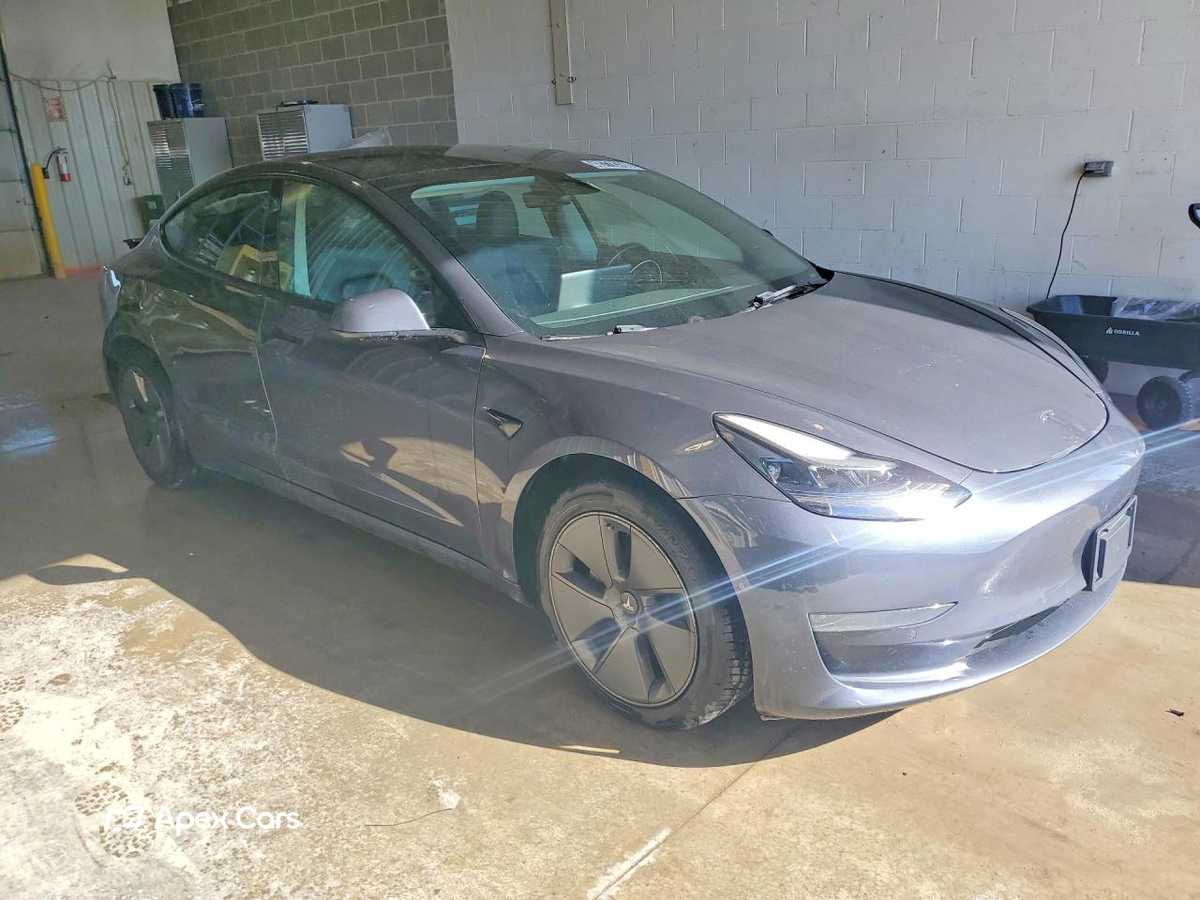 Tesla Model 3 2022
