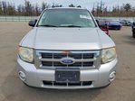 Ford Escape 2010