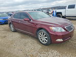 Lexus LS 2007