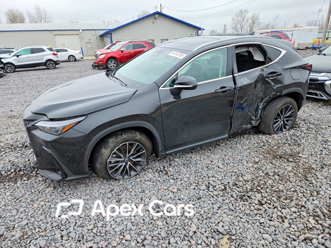 Lexus NX 2024 - Image 1 of 5