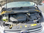 Ford Escape 2014
