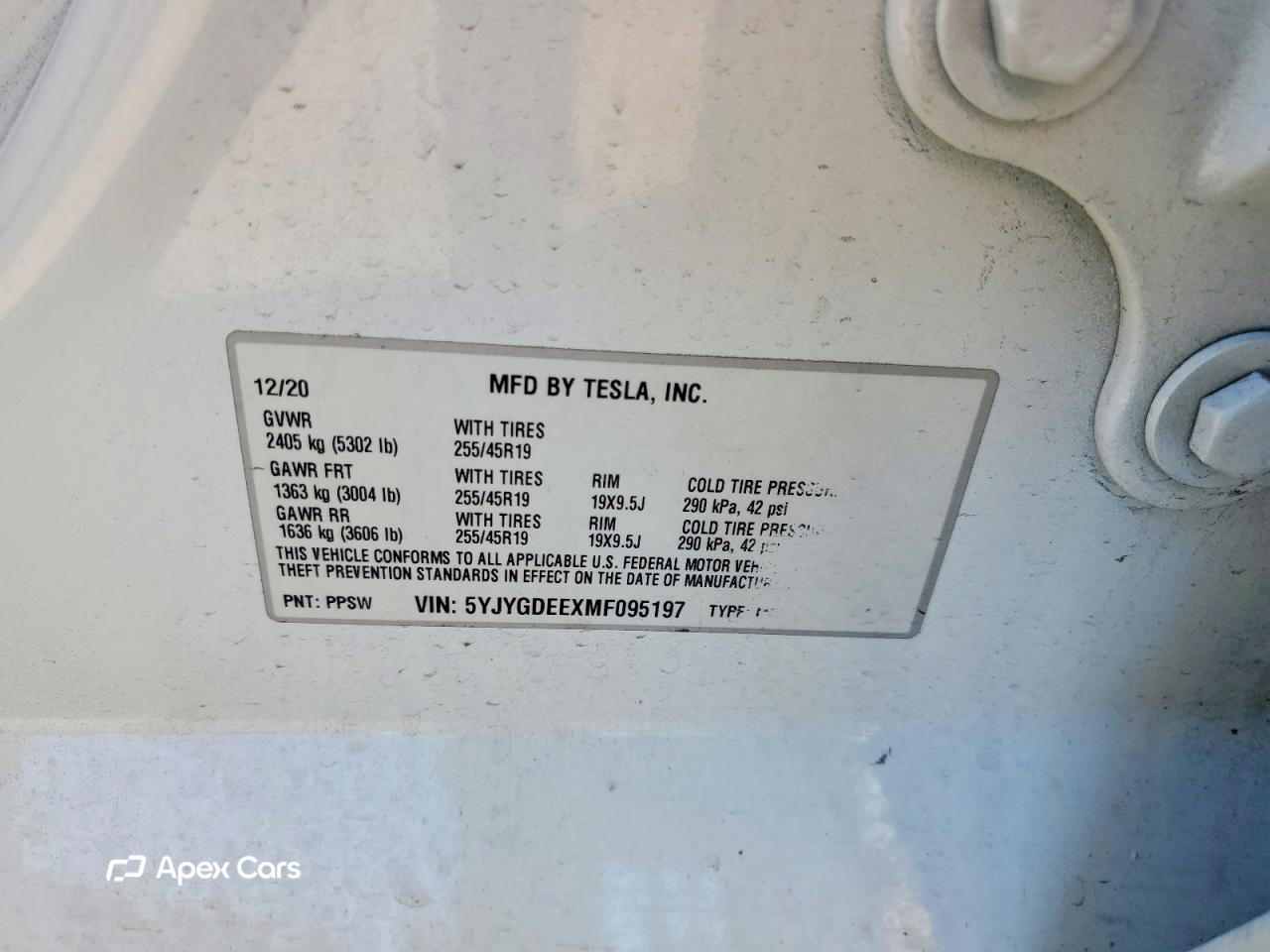 Tesla Model Y 2021