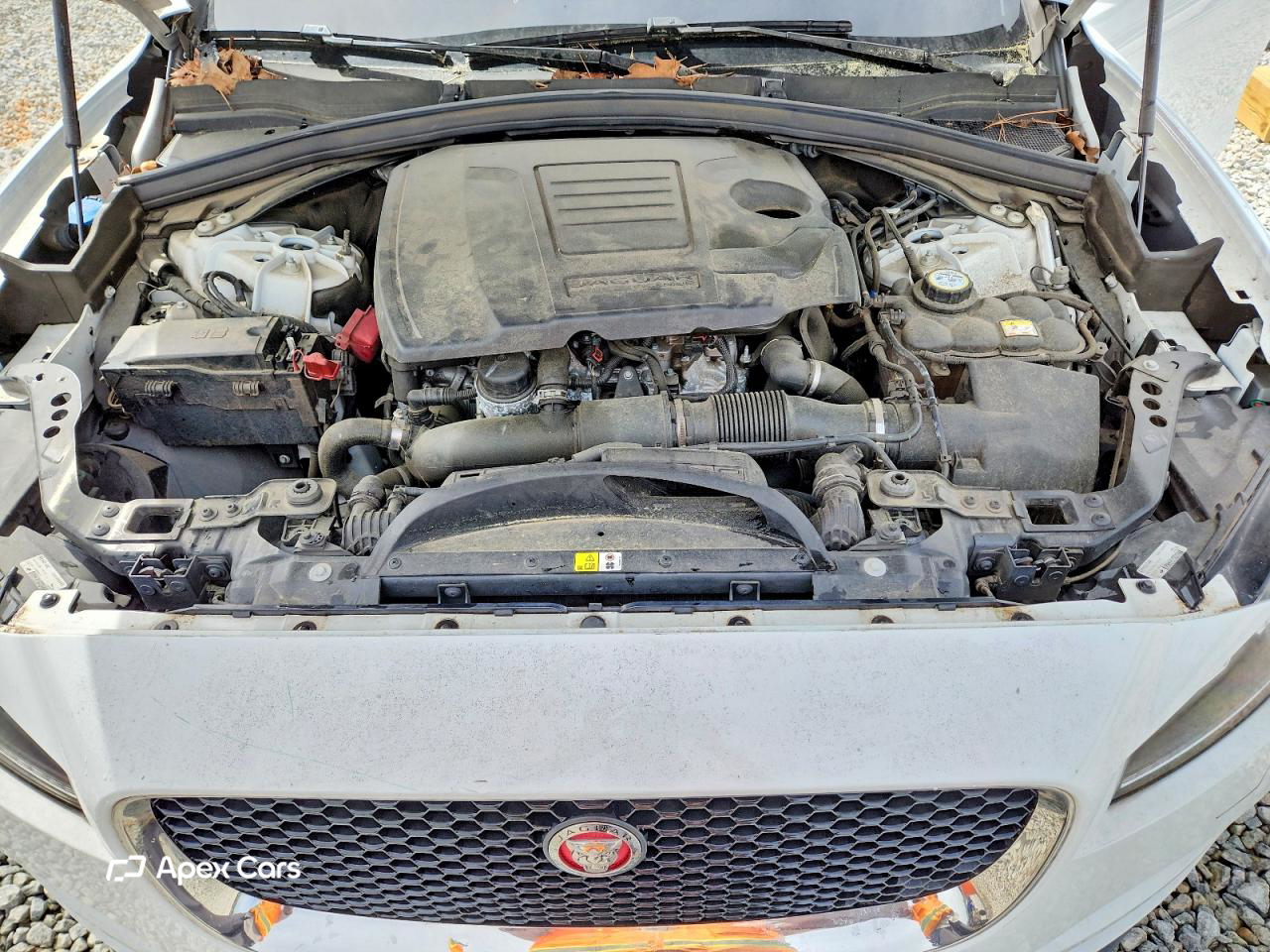 Jaguar F-Pace 2019