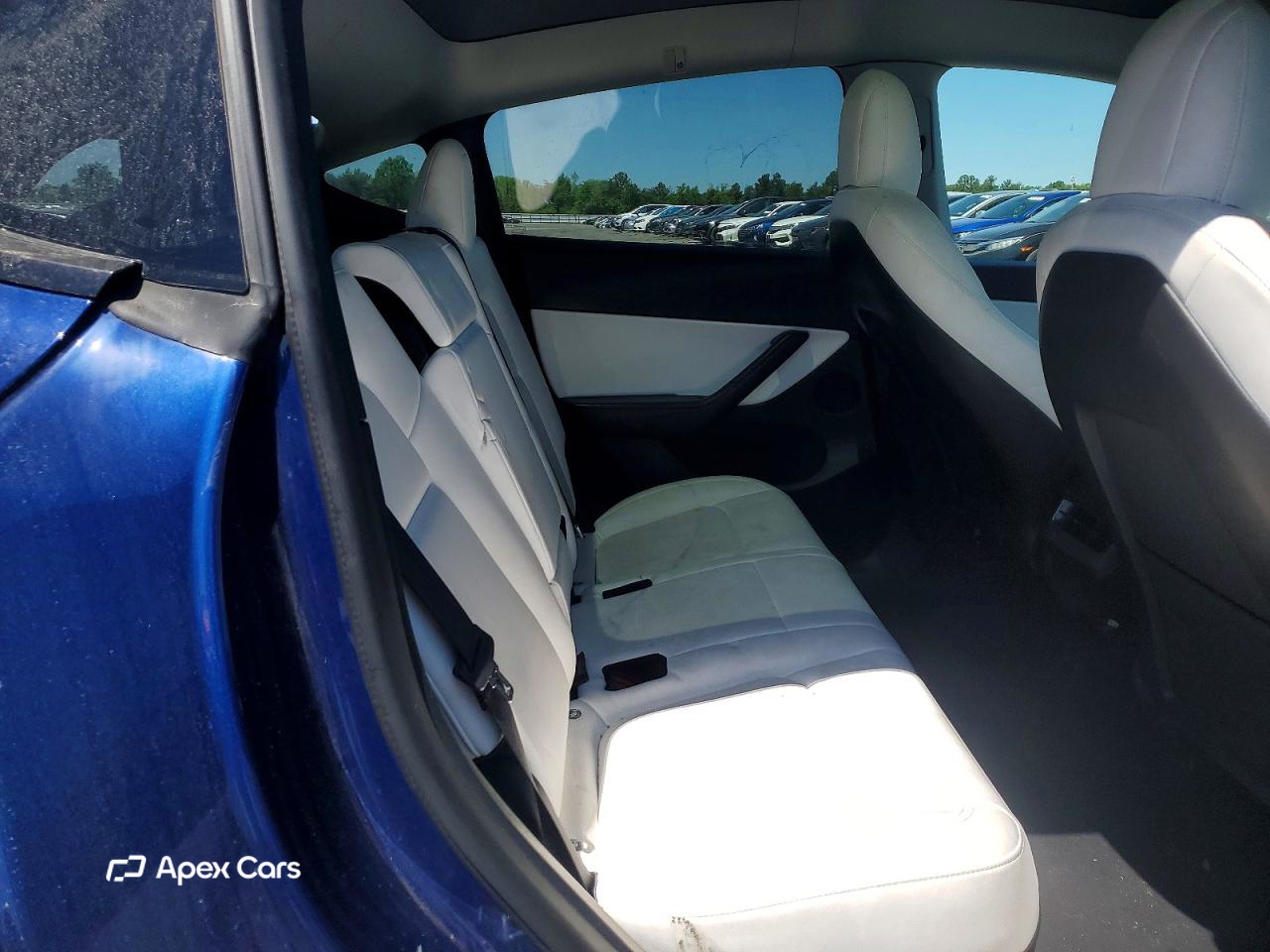 Tesla Model Y 2021