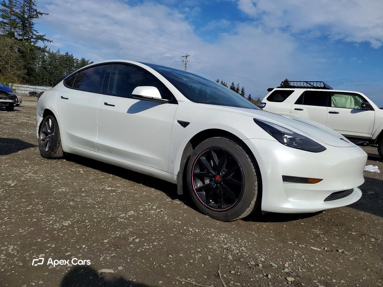 Tesla Model 3 2023