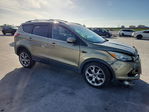 Ford Escape 2013
