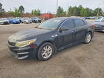 Kia Optima 2016