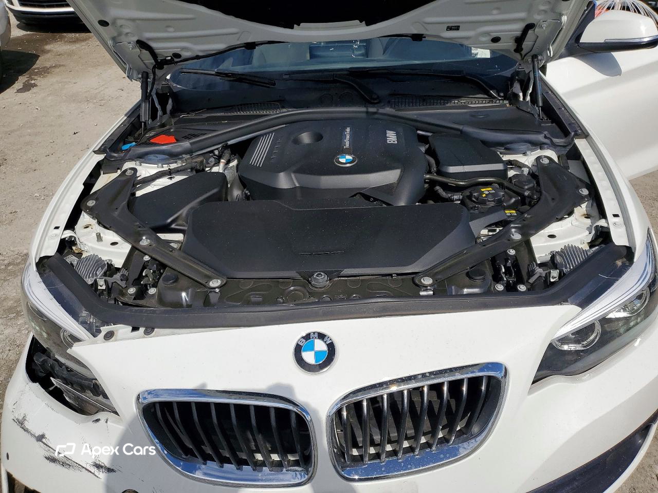 BMW Series 2 2019