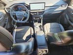 Ford Escape 2023