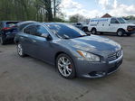 Nissan Maxima 2014