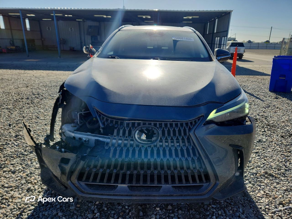 Lexus NX 2022