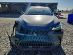 Lexus NX 2022