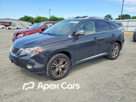 Lexus RX 2010 - Image 1 of 12