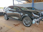Lexus NX 2025