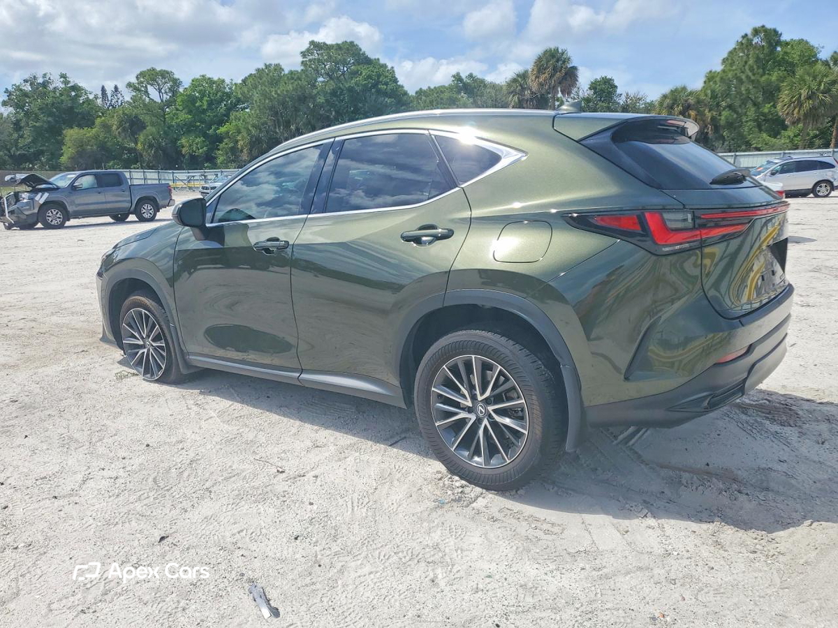 Lexus NX 2024