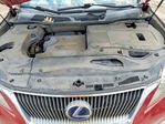 Lexus RX 2010