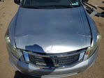Honda Accord 2010