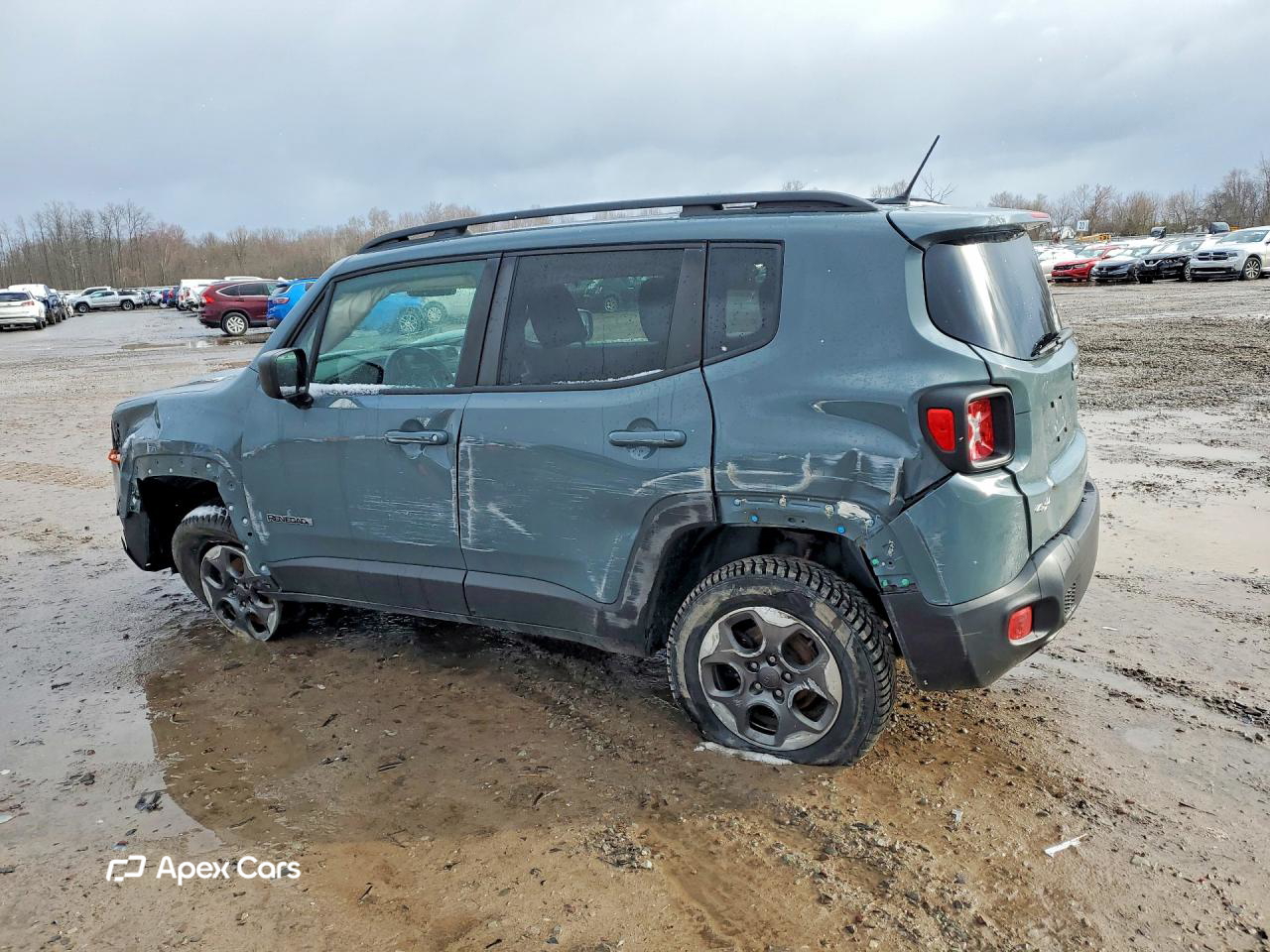 Jeep Renegade 2017