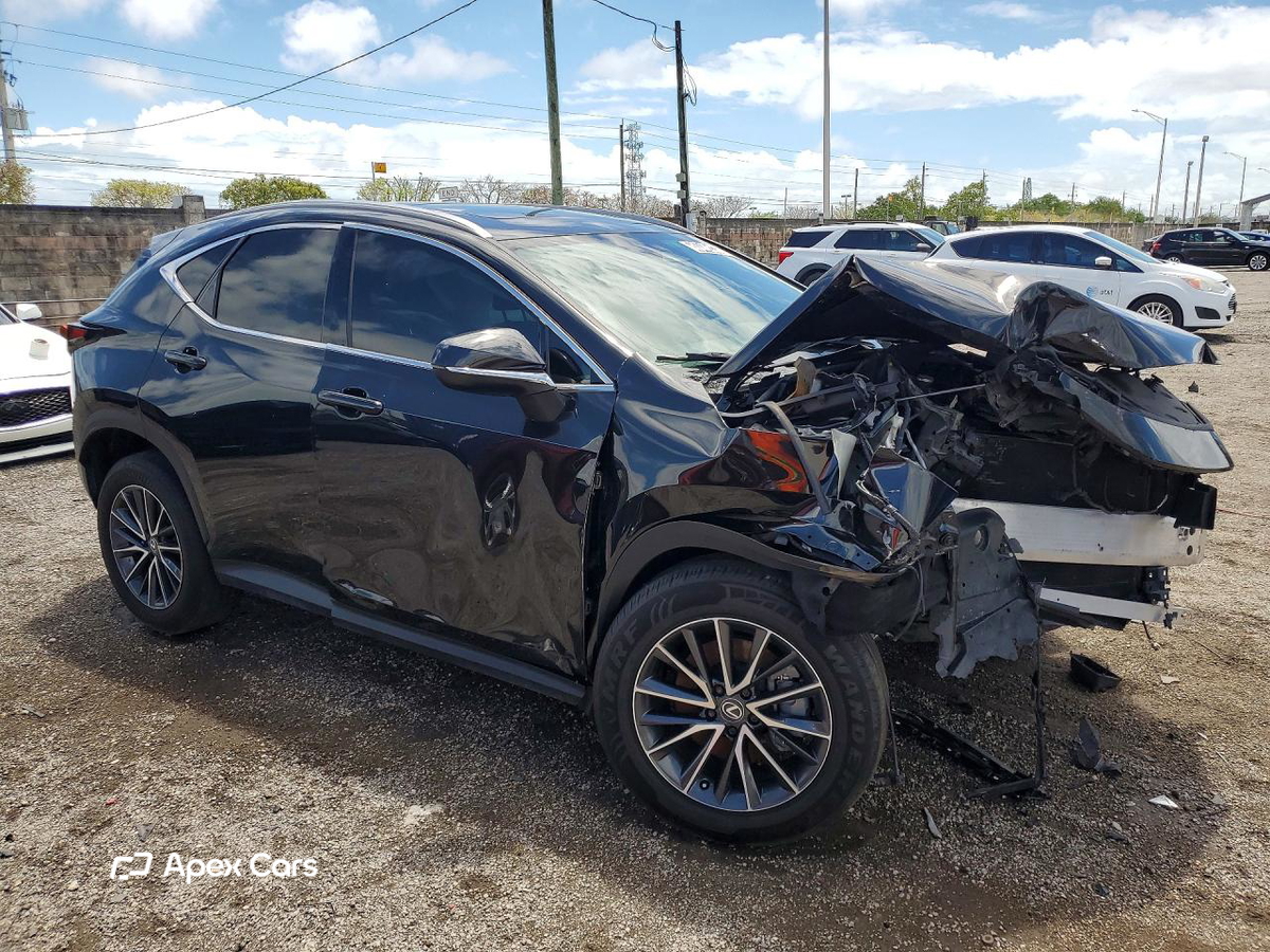 Lexus NX 2024
