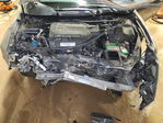 Honda Accord 2013