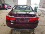 Honda Accord 2013
