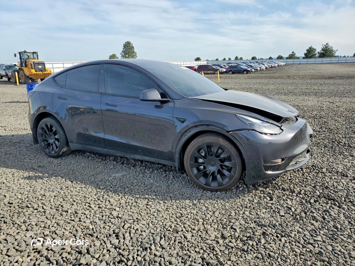 Tesla Model Y 2024