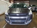 Ford Escape 2015