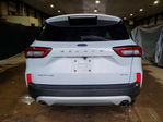 Ford Escape 2025