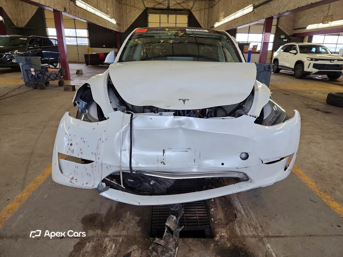 Tesla Model Y 2020