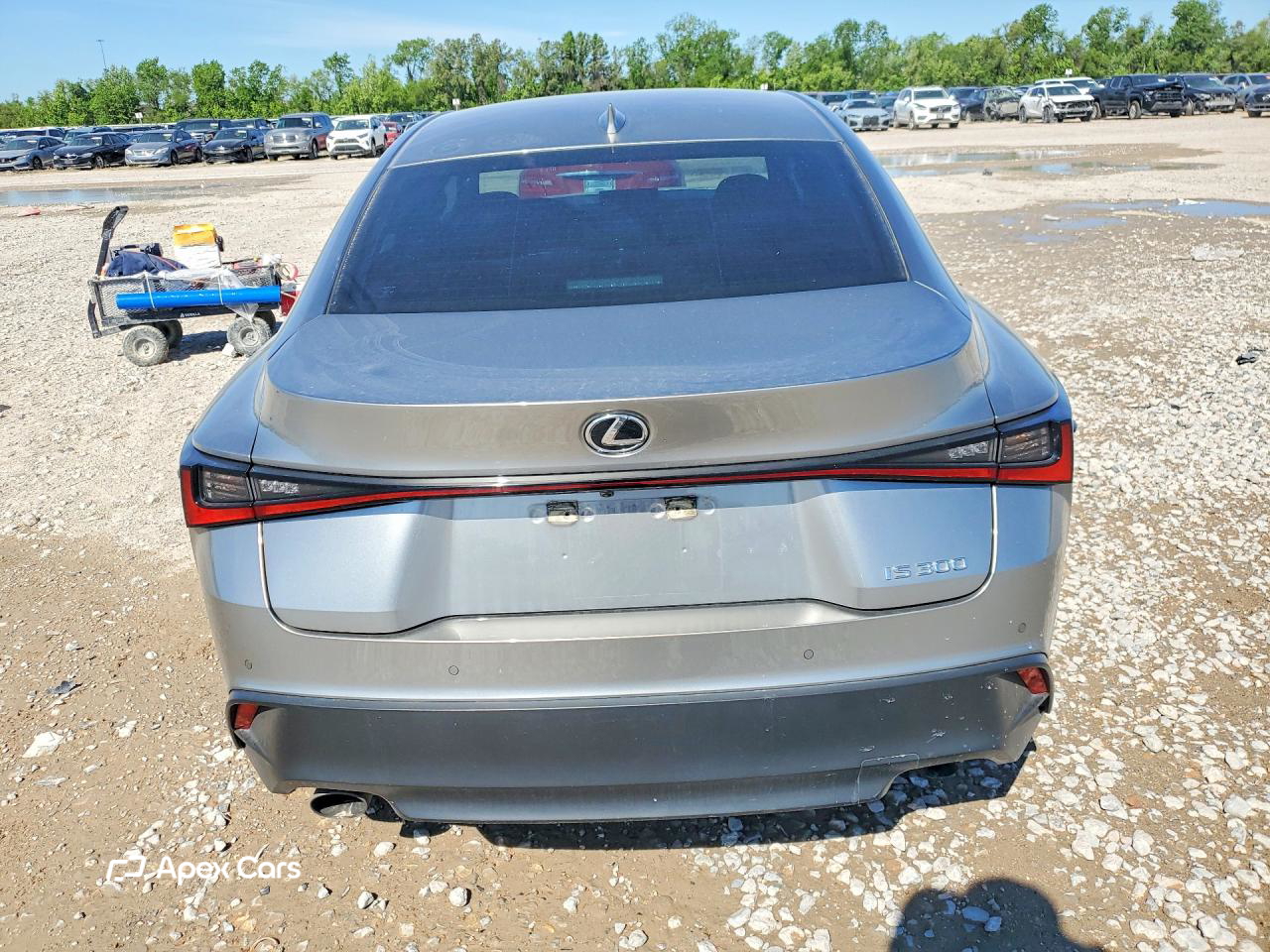Lexus IS 2023