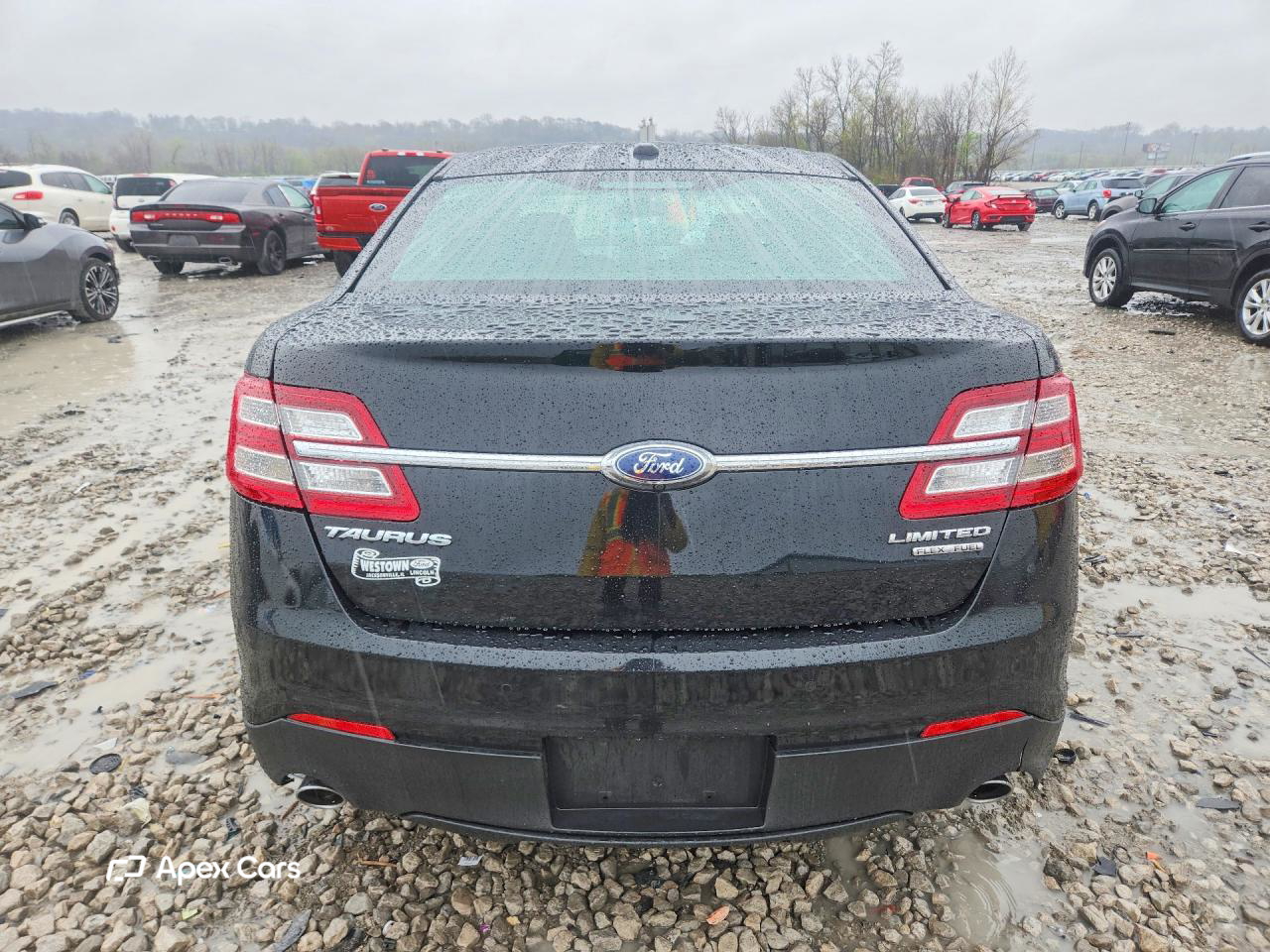 Ford Taurus 2019