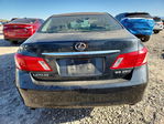 Lexus ES 2008
