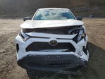 Toyota RAV 4 2024