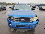 Ford Escape 2011