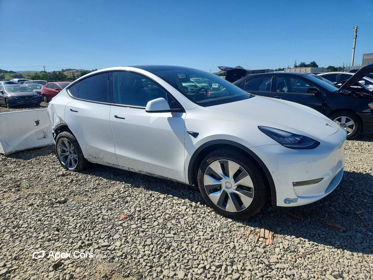 Tesla Model Y 2021